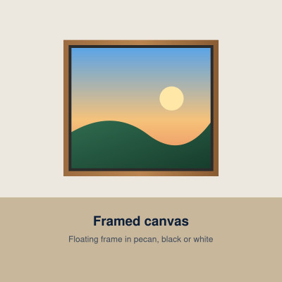 Framed Canvas