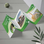 Tri-Fold Brochures photo 3