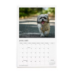 Wall Calendars photo 4